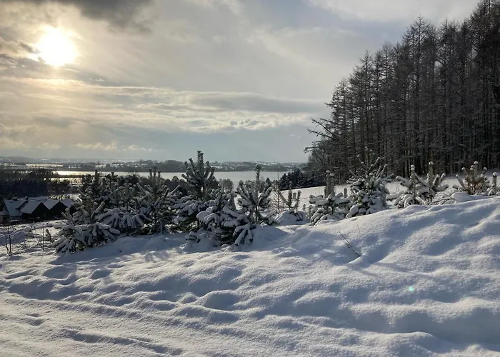 Vila Na Kaszubskim Wzgorzu Z Sauna I Bania