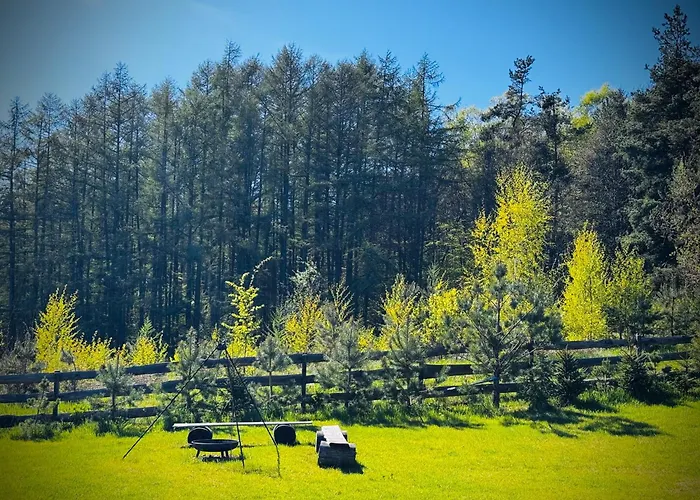 Na Kaszubskim Wzgorzu Z Sauna I Bania Vila *